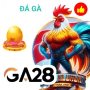 vu88 Game 05